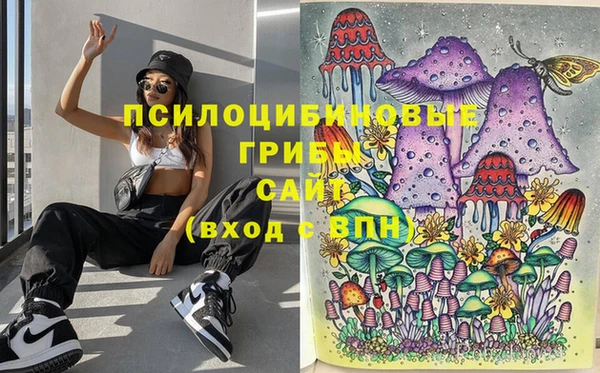 ECSTASY Лихославль