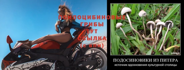 альфа пвп Лиски
