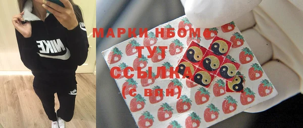 PSILOCYBIN Магас